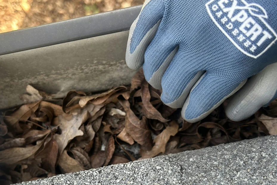 Gutter Cleaning Zachary