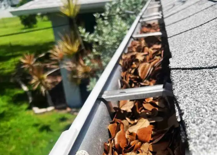 Gutter Cleaning Zachary home page